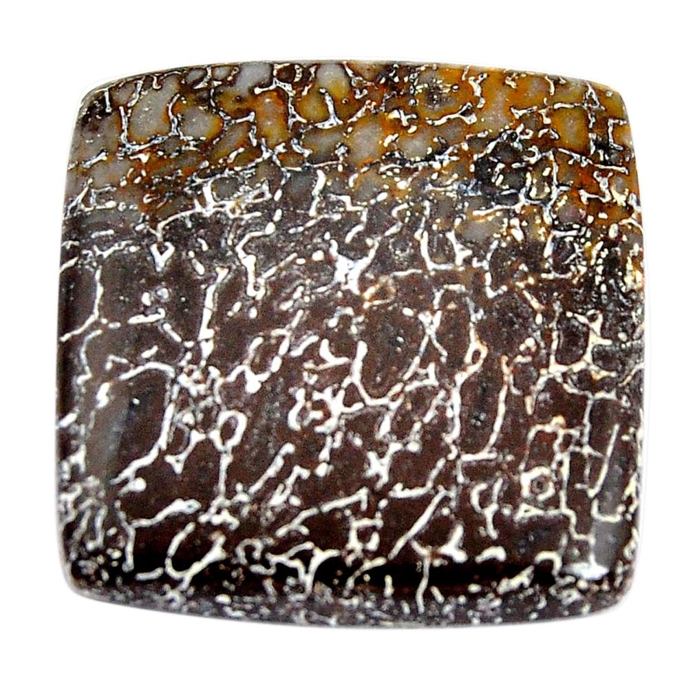 Natural 27.40cts stingray coral from alaska black 25x24 mm loose gemstone s15104