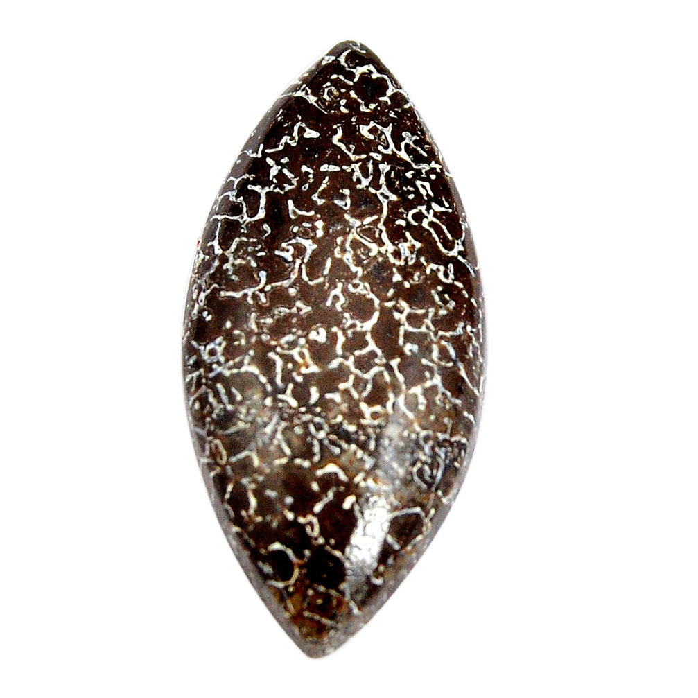 Natural 21.25cts stingray coral from alaska black 35x16 mm loose gemstone s15118
