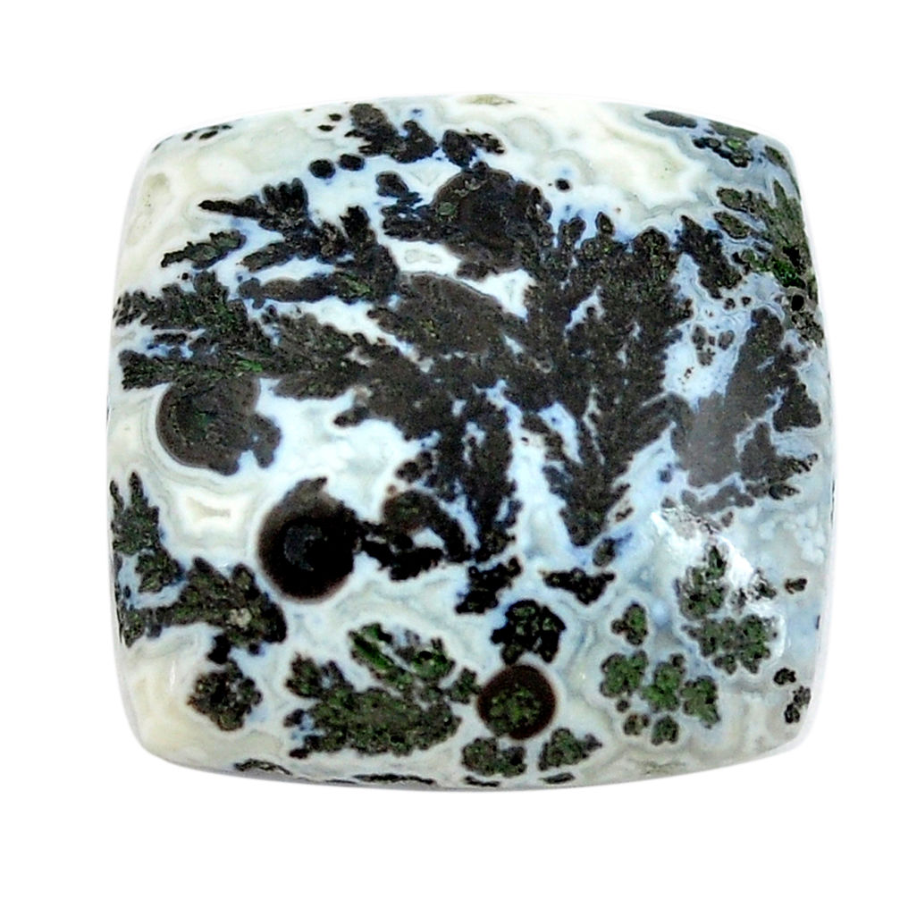 Natural 22.35cts tree agate white cabochon 21x21mm octagan loose gemstone s13189