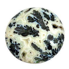 Natural 24.15cts tree agate white cabochon 25x25 mm oval loose gemstone s13187
