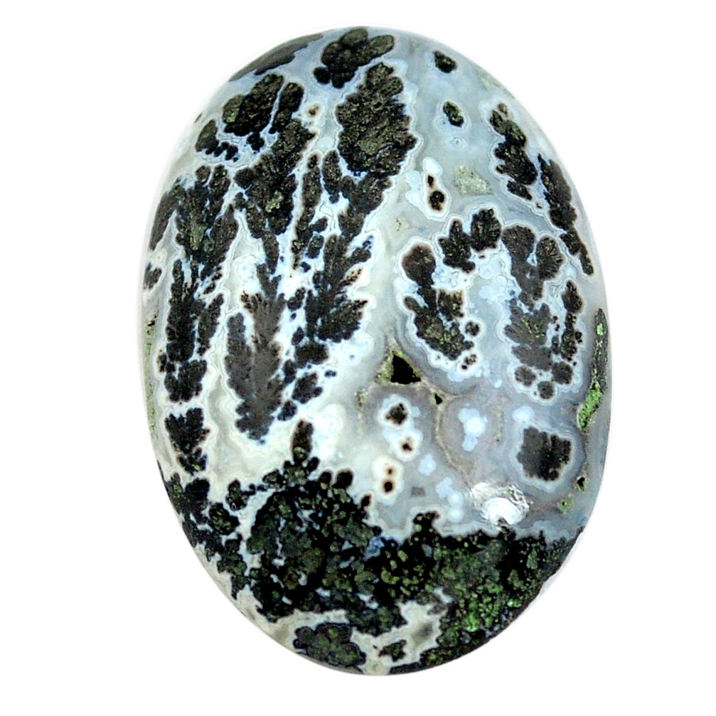 Natural 23.45cts tree agate white cabochon 29x20 mm oval loose gemstone s13181