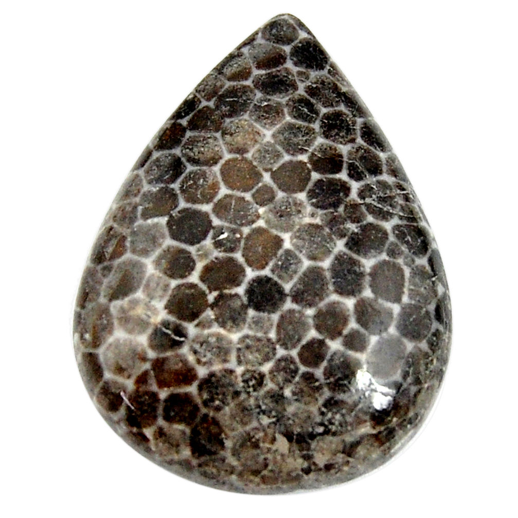  stingray coral from alaska 32x23.5mm pear loose gemstone s15861