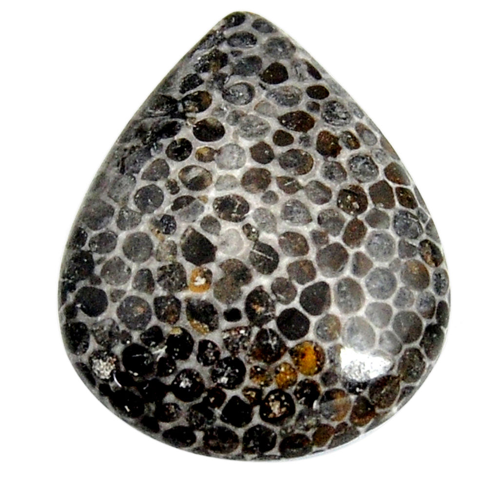  stingray coral from alaska 27.5x22mm pear loose gemstone s15862