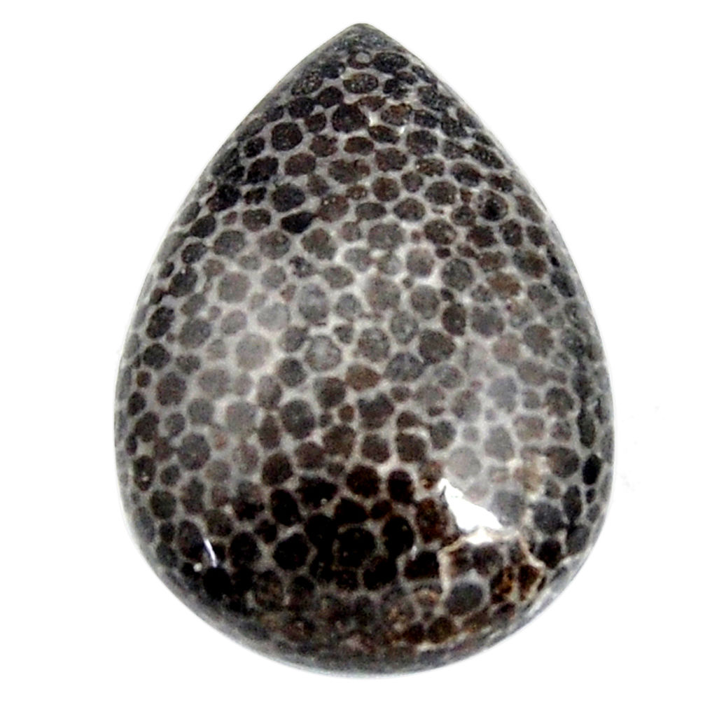  stingray coral from alaska 26.5x19mm pear loose gemstone s15865