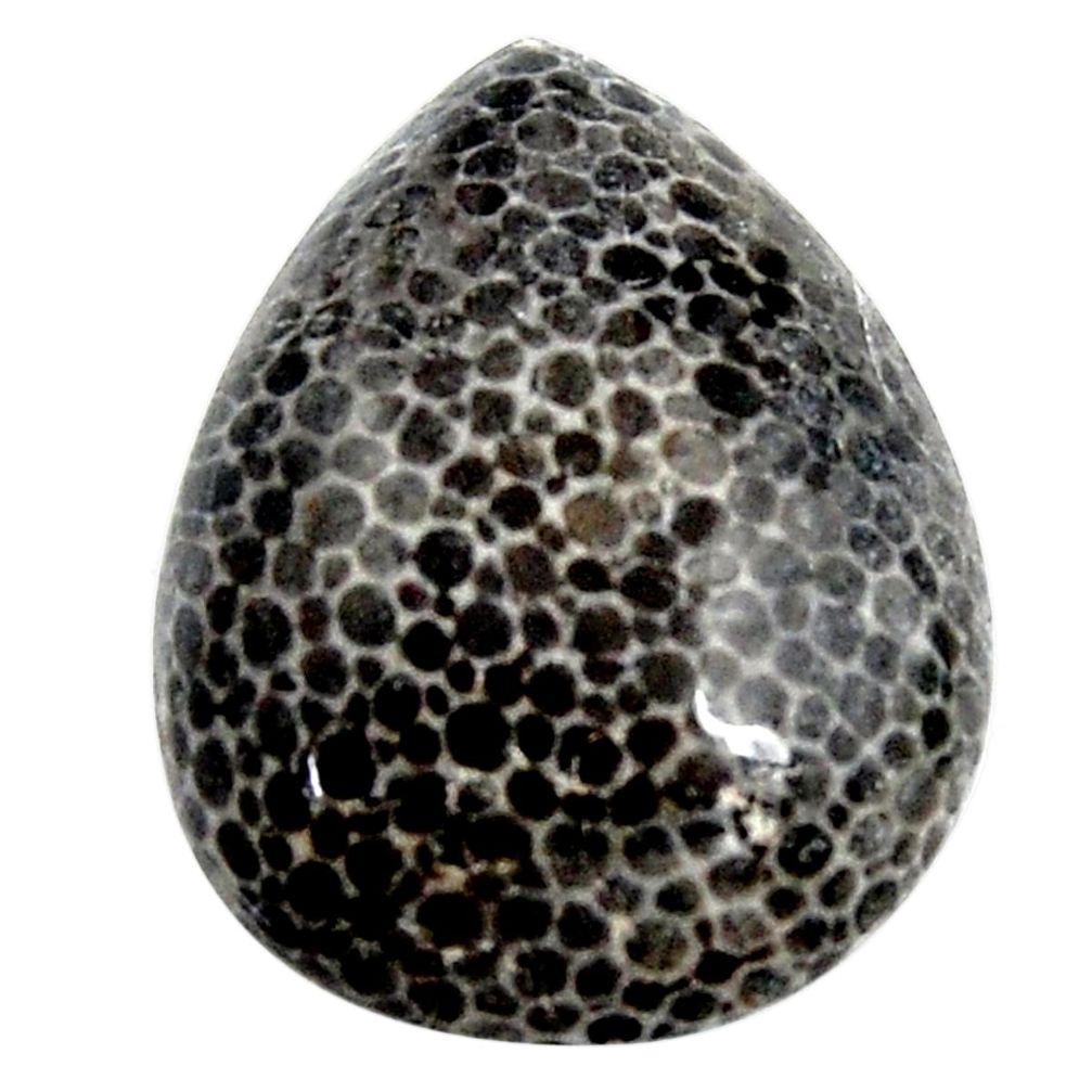  stingray coral from alaska 25x19 mm heart loose gemstone s15867