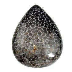  stingray coral from alaska black 28x20 mm loose gemstone s15880