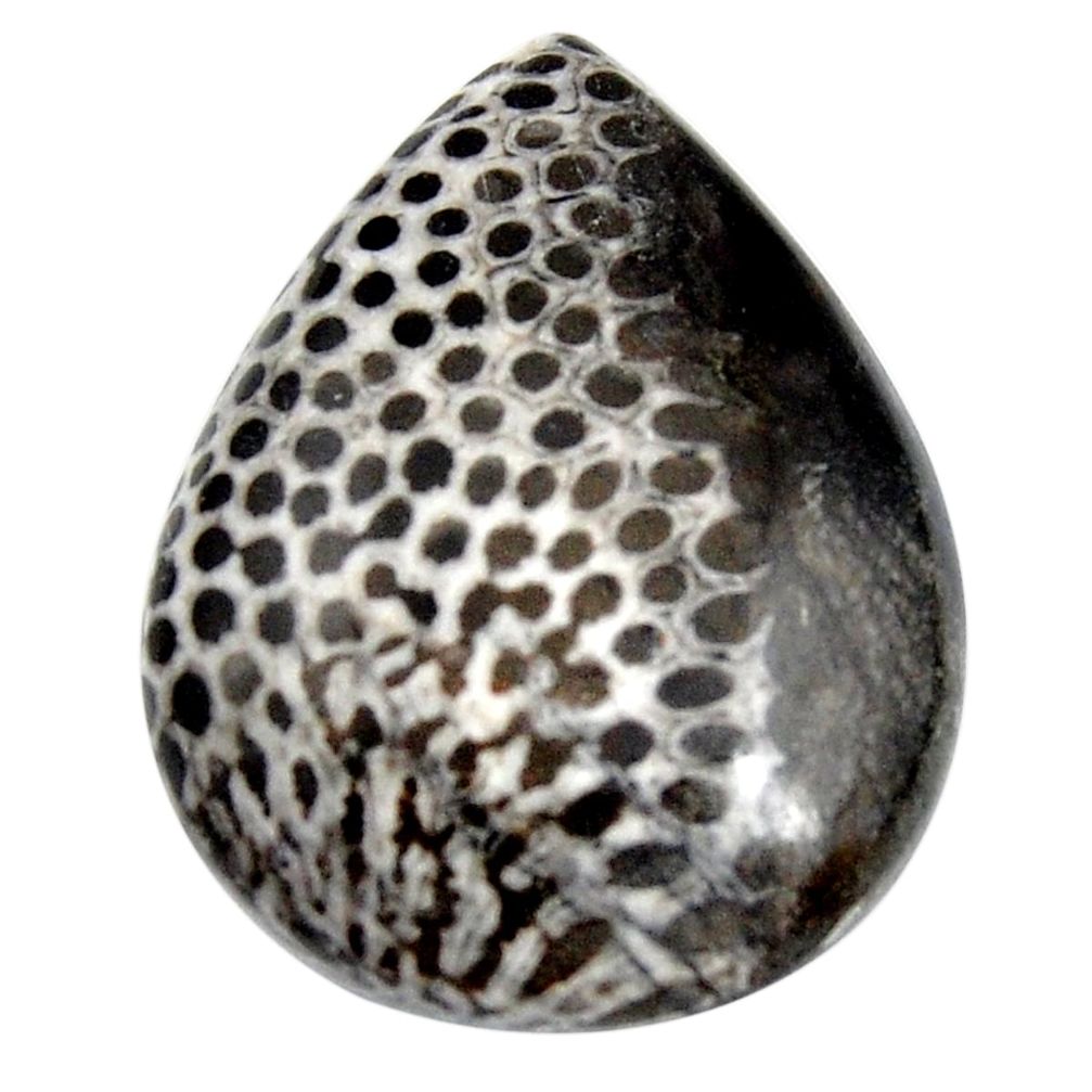  stingray coral from alaska 32x24 mm pear loose gemstone s15883