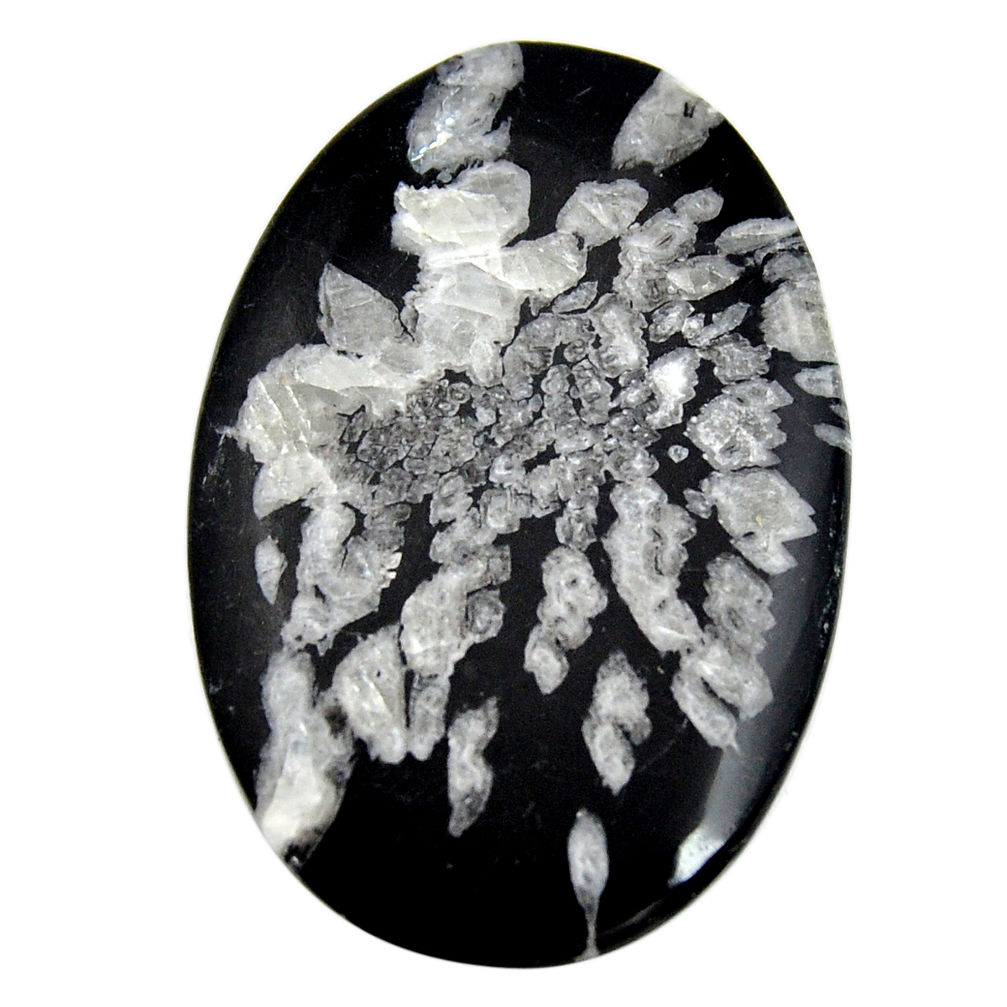  chrysanthemum black cabochon 49x32.5 mm loose gemstone s15929