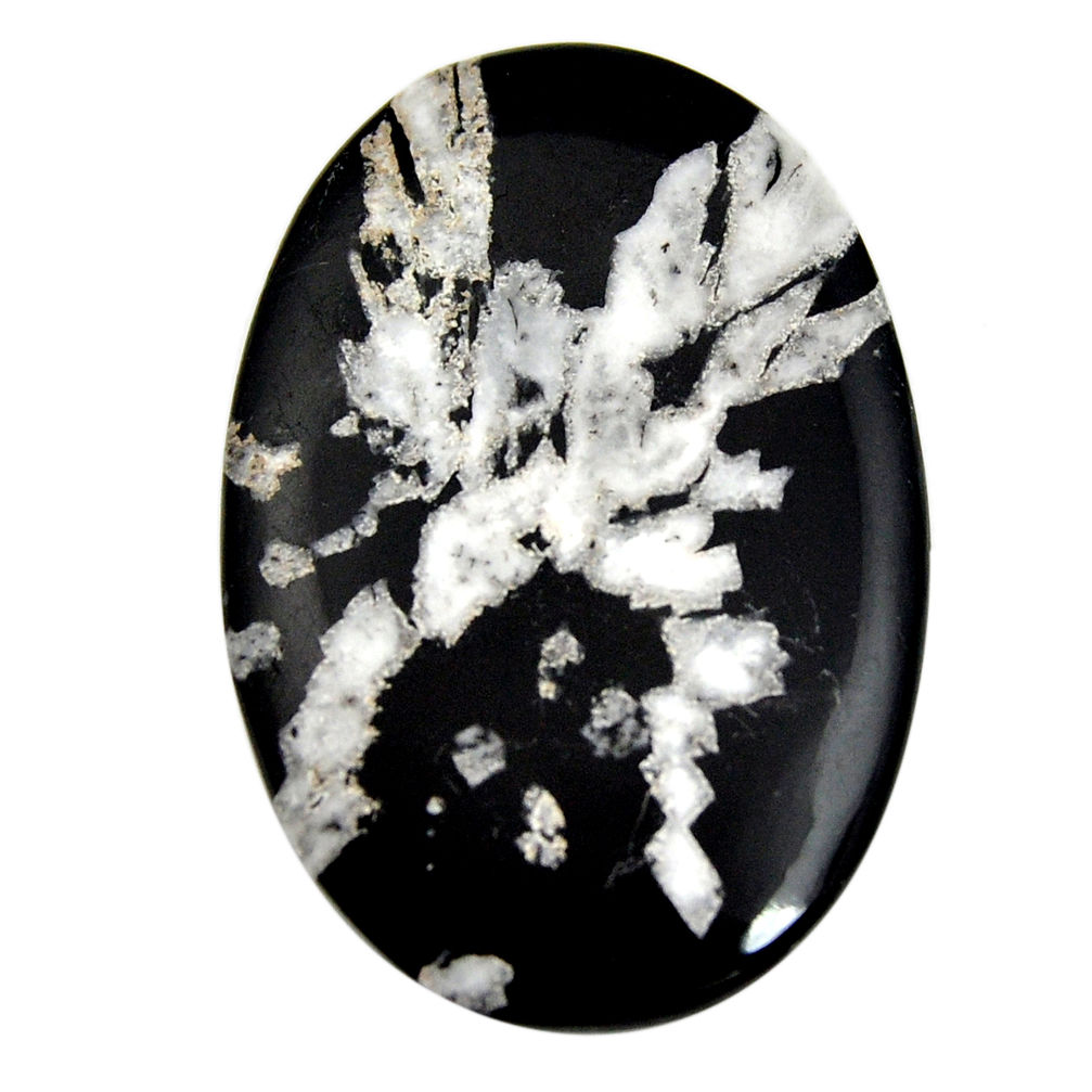  chrysanthemum black cabochon 52x35mm oval loose gemstone s15930