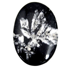  chrysanthemum black cabochon 39x26mm oval loose gemstone s15931