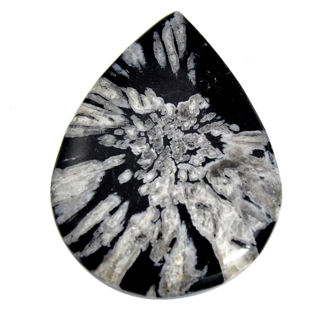  chrysanthemum black cabochon 48.5x35.5 mm loose gemstone s15934