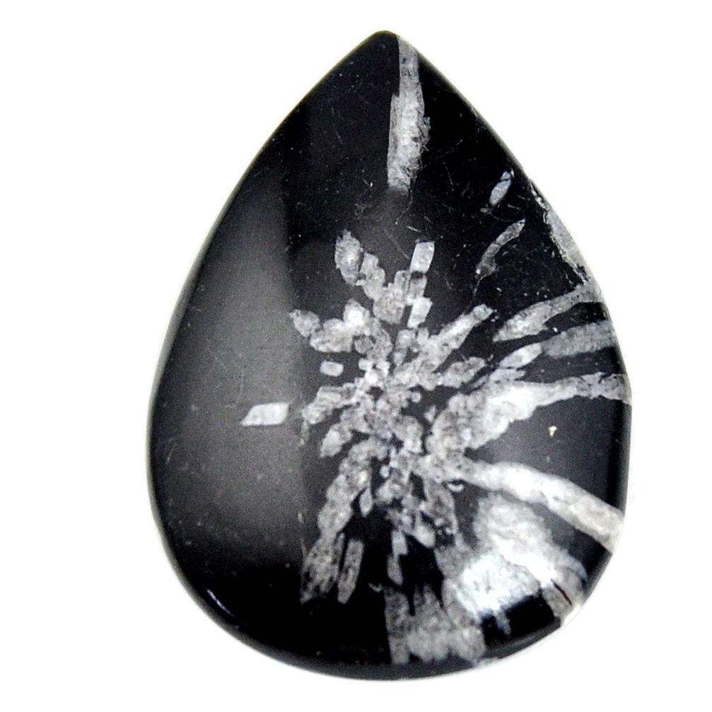  chrysanthemum black cabochon 40x27mm pear loose gemstone s15937