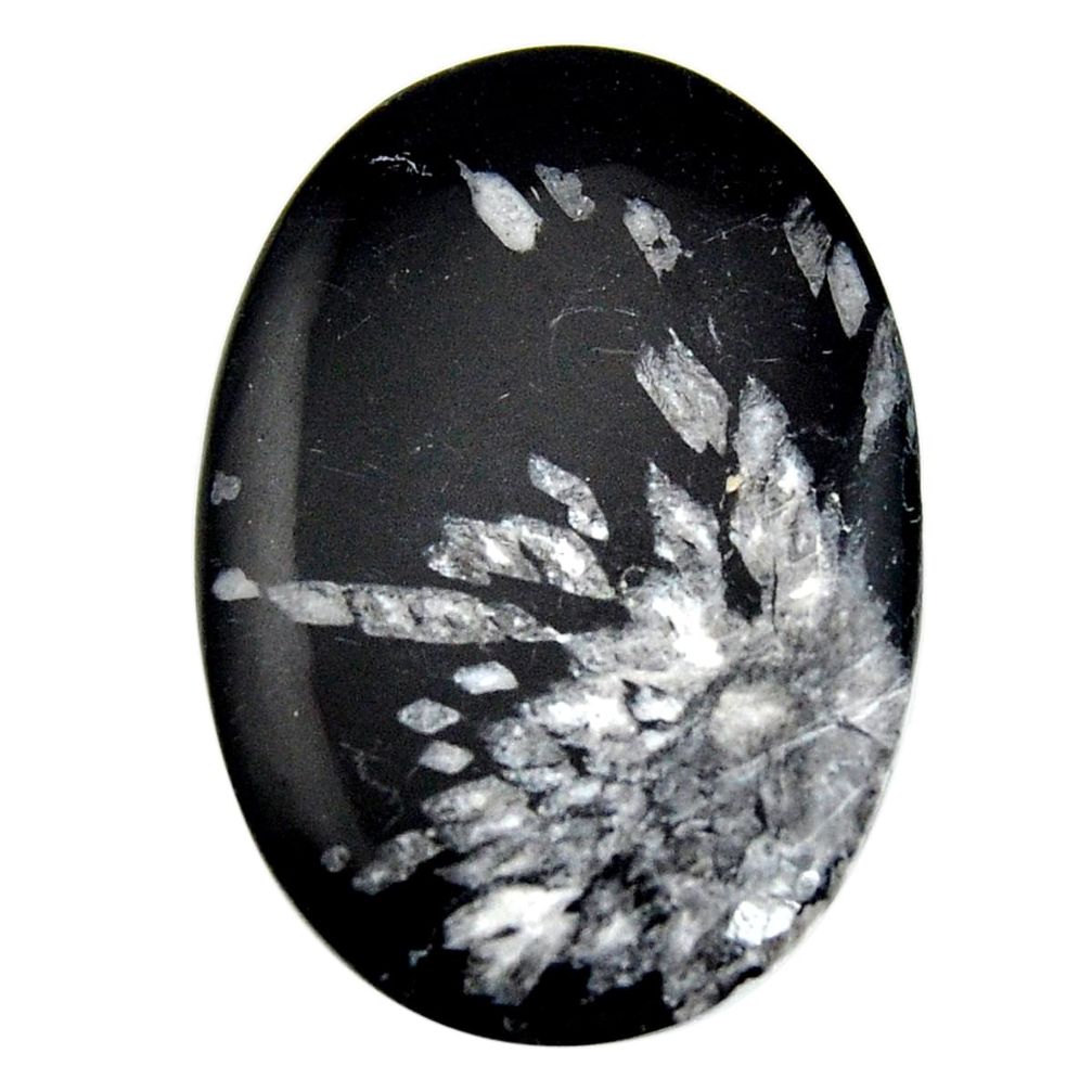  chrysanthemum black cabochon 40x27.5 mm loose gemstone s15944