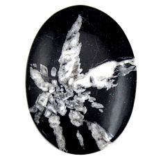  chrysanthemum black cabochon 37x25mm oval loose gemstone s15945