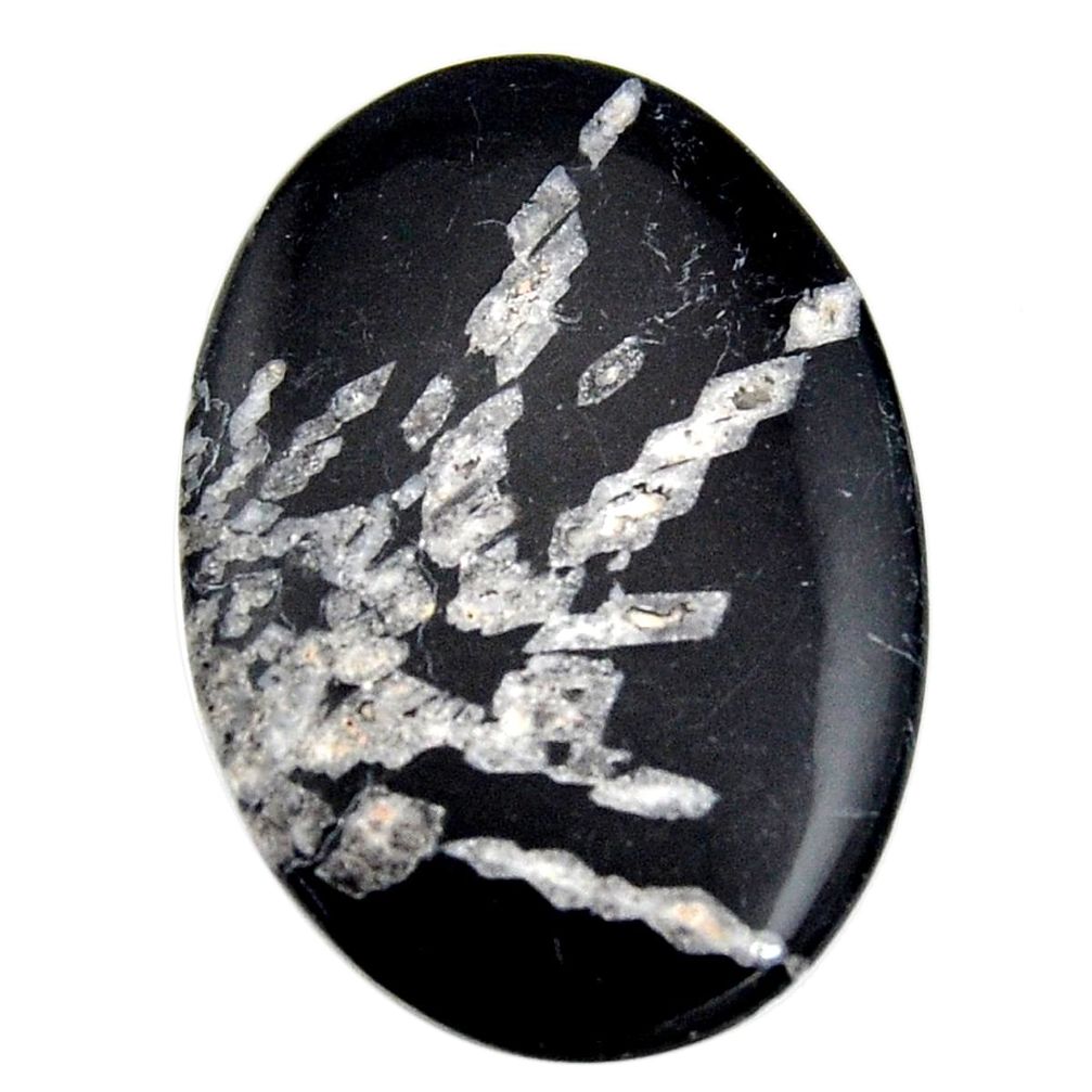  chrysanthemum black cabochon 37.5x26 mm loose gemstone s15946