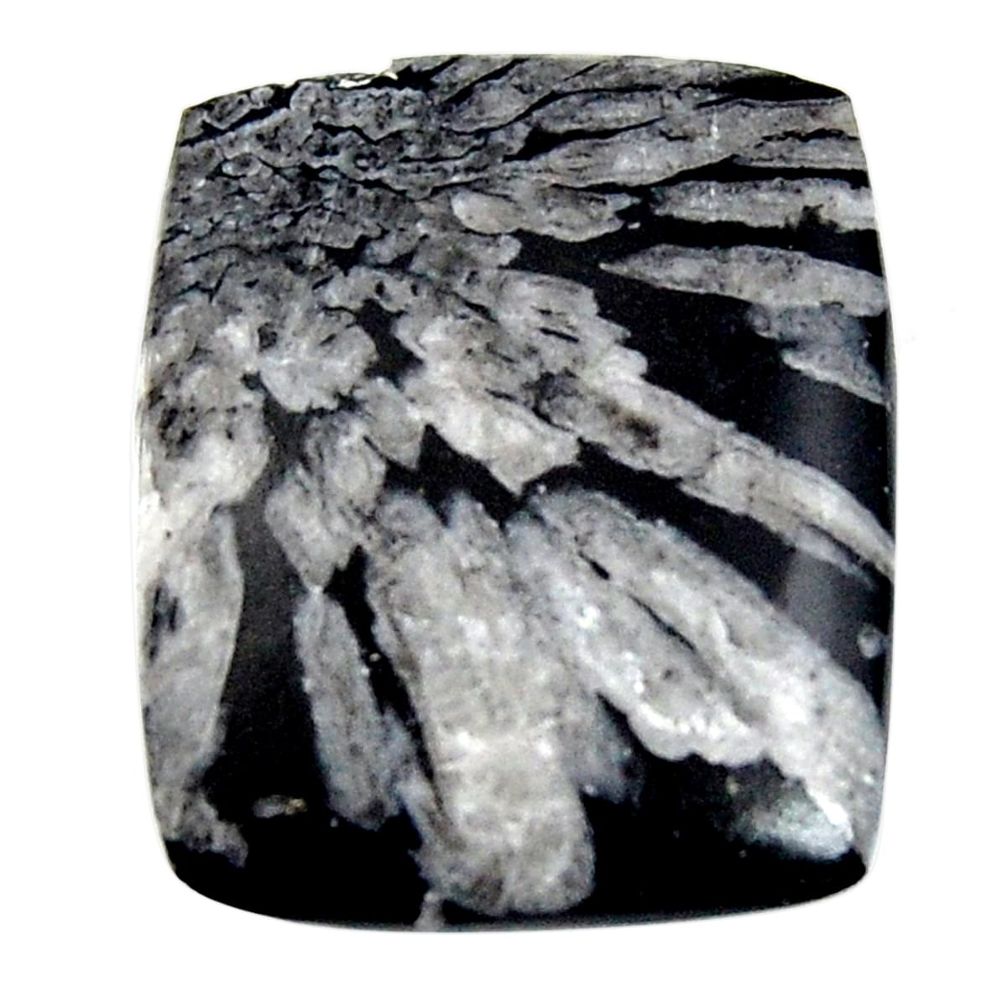  chrysanthemum black cabochon 26x21 mm loose gemstone s15952