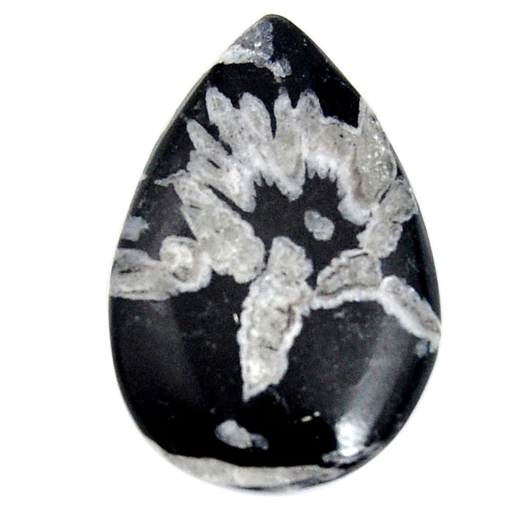  chrysanthemum black cabochon 28x18mm pear loose gemstone s15959