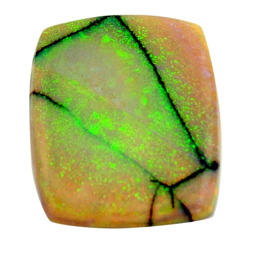 g opal multi color cabochon 23.5x19 mm loose gemstone s16043