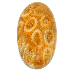 Natural 21.20cts fossil coral petoskey stone 30x16 mm oval loose gemstone s22934