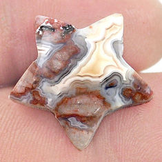 17.55cts mexican laguna lace agate 20x20 mm star fish loose gemstone s27084