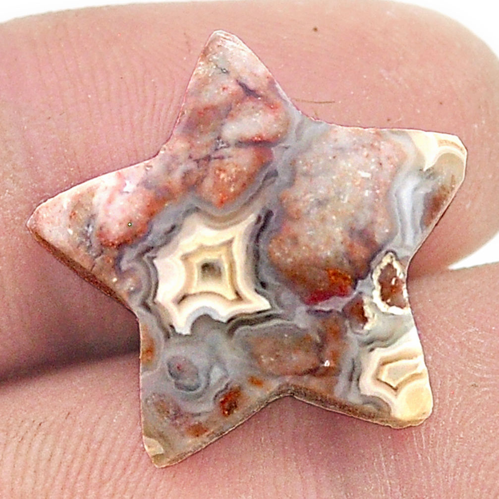 17.55cts mexican laguna lace agate 20x20 mm star fish loose gemstone s27086