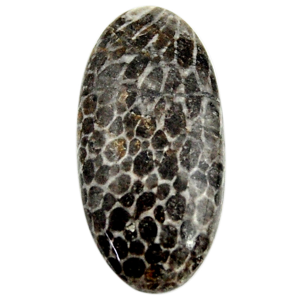 Natural 13.4ct stingray coral alaska cabochon 27x13mm oval loose gemstone s18770