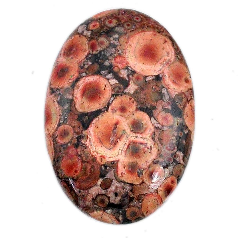 Natural 23.10ct birds eye multicolor cabochon 30x20mm oval loose gemstone s20920