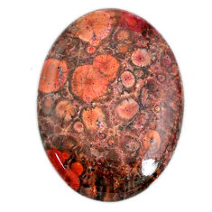 Natural 29.90ct birds eye multicolor cabochon 34x25mm oval loose gemstone s20919