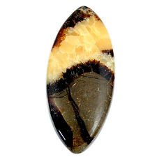 Natural 32.65ct septarian gonads cabochon 42x18mm marquise loose gemstone s20965