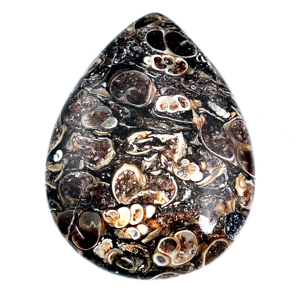 Natural 50.15ct turritella fossil snail agate 40x30mm pear loose gemstone s21141