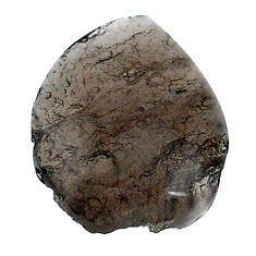 Natural 14.30cts agni manitite brown cabochon 22x17 mm loose gemstone s22729