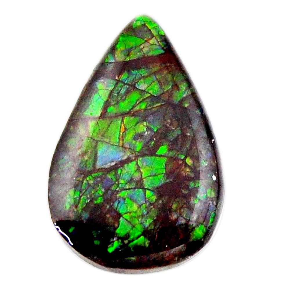 Natural 12.40cts ammolite (canadian) 20x18 mm pear loose gemstone s19209