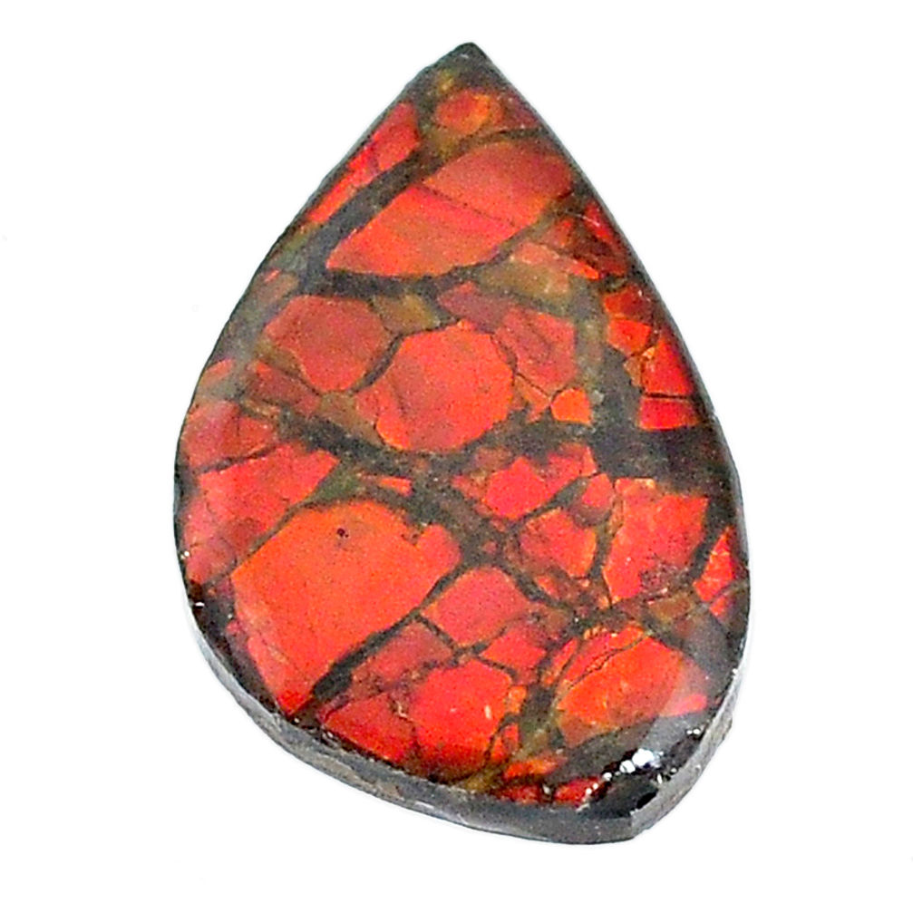 Natural 14.20cts ammolite (canadian) 26x16.5 mm fancy loose gemstone s22788