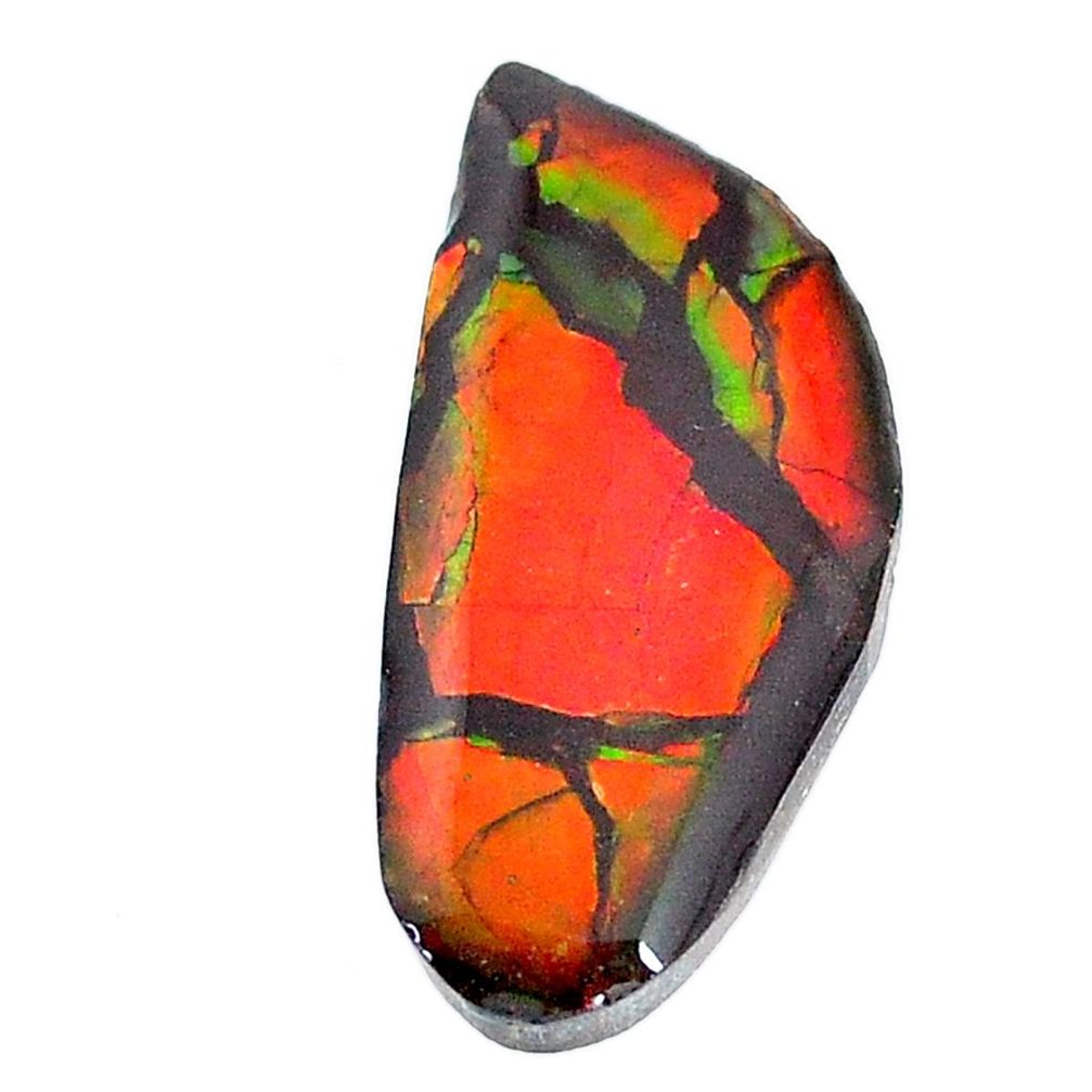 Natural 16.30cts ammolite (canadian) 30x14 mm fancy loose gemstone s22789