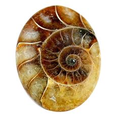 Natural 21.30cts ammonite fossil brown cabochon 28x21 mm loose gemstone s24969