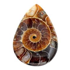 Natural 18.10cts ammonite fossil brown cabochon 29x19 mm loose gemstone s24972