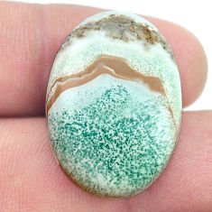 Natural 27.60cts aragonite green cabochon 27.5x19 mm oval loose gemstone s27178