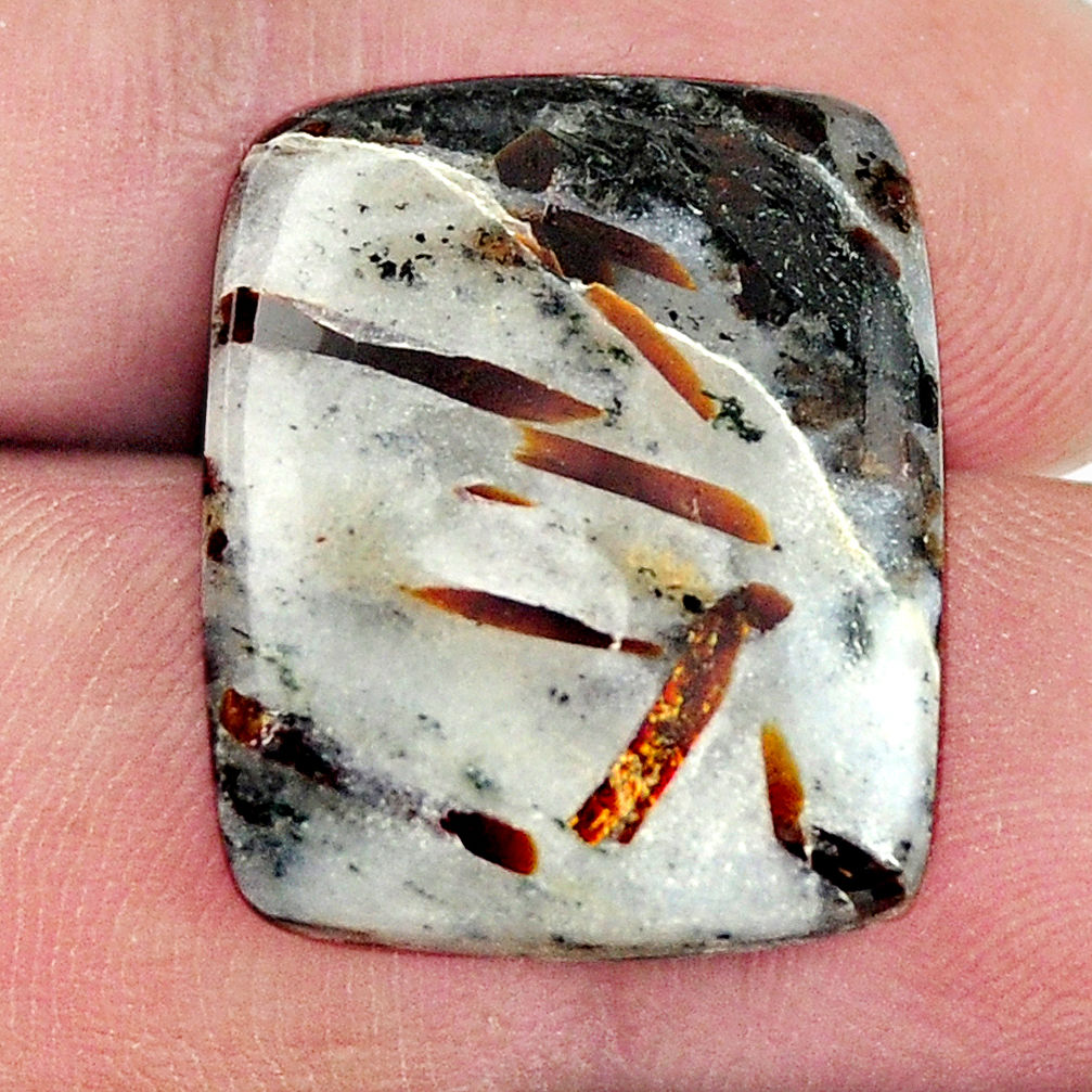 Natural 16.30cts astrophyllite (star leaf) 22x18mm octagan loose gemstone s17095