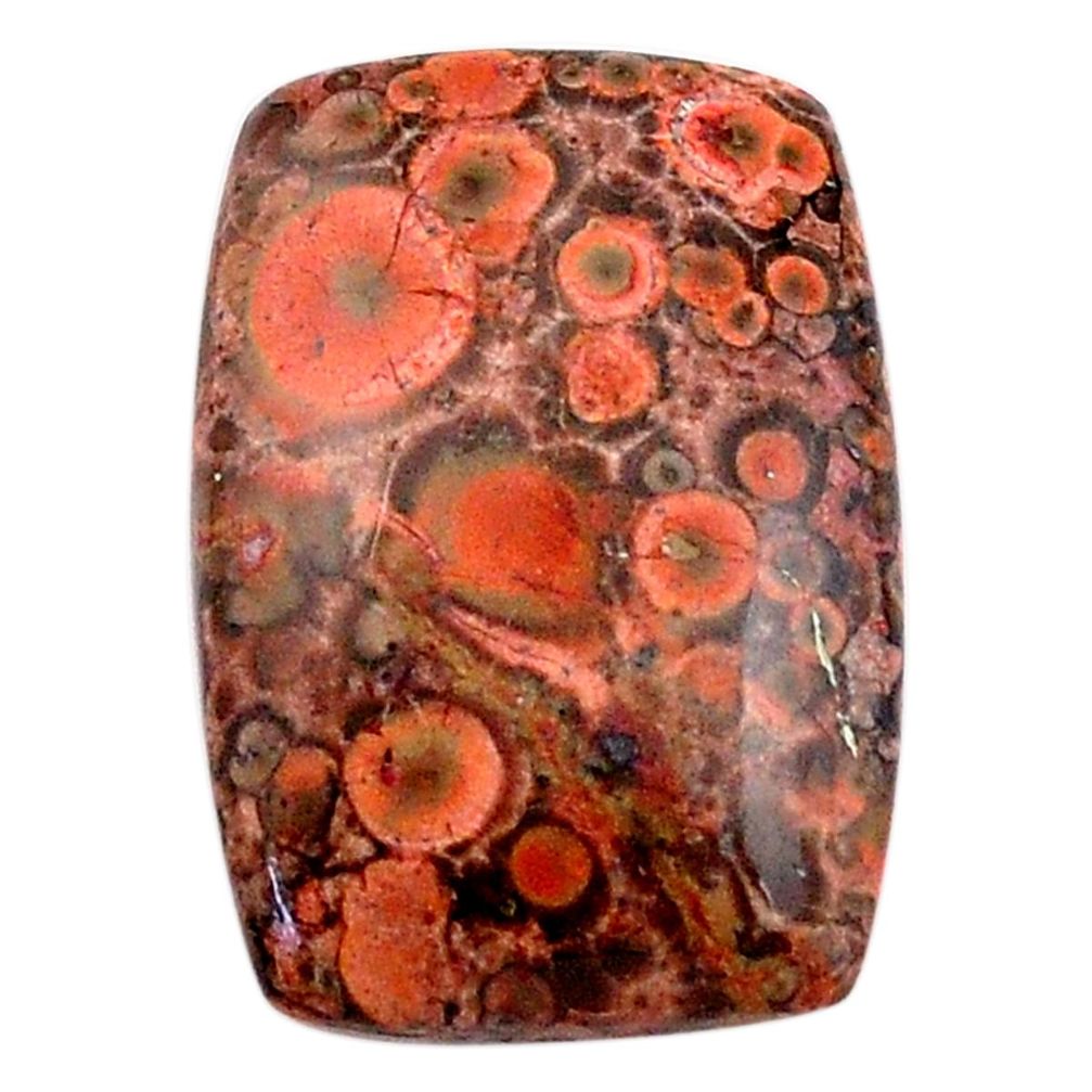 Natural 16.35cts birds eye red cabochon 24x17 mm octagan loose gemstone s25789