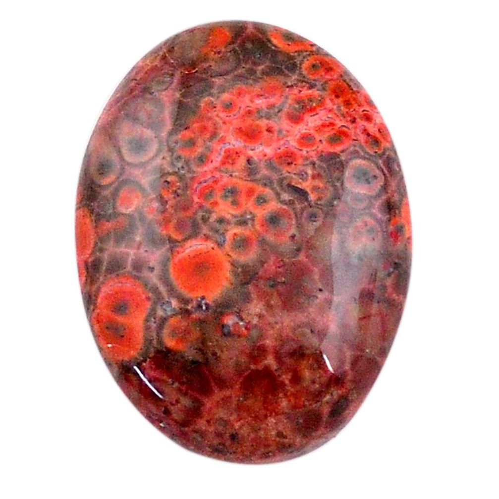 Natural 20.45cts birds eye red cabochon 25x19 mm oval loose gemstone s25787