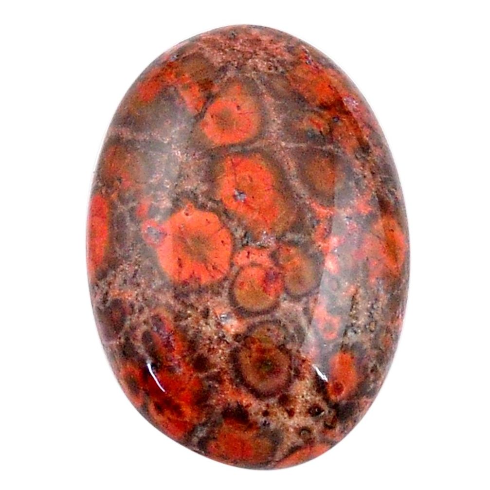 Natural 20.35cts birds eye red cabochon 26x18 mm oval loose gemstone s25799