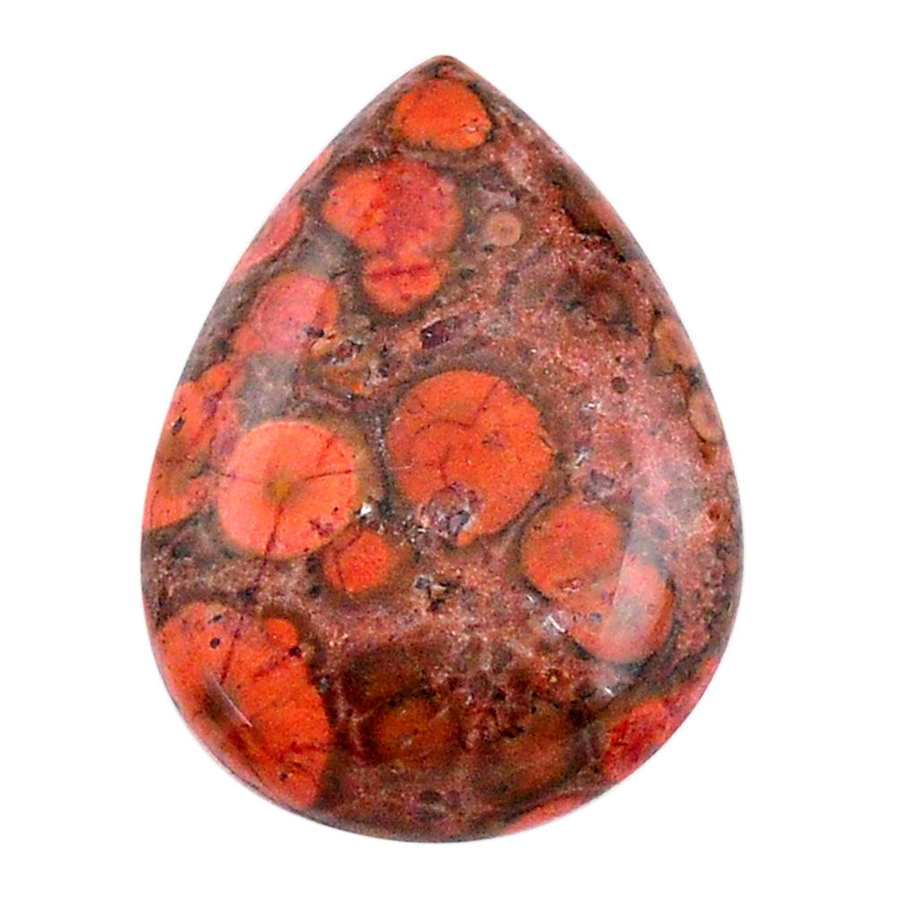 Natural 16.20cts birds eye red cabochon 26x19 mm pear loose gemstone s25796