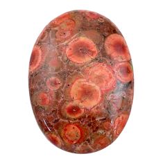 Natural 16.05cts birds eye red cabochon 27x19 mm oval loose gemstone s25797