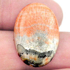 Natural 23.10cts celestobarite orange cabochon 25x17 mm loose gemstone s23656