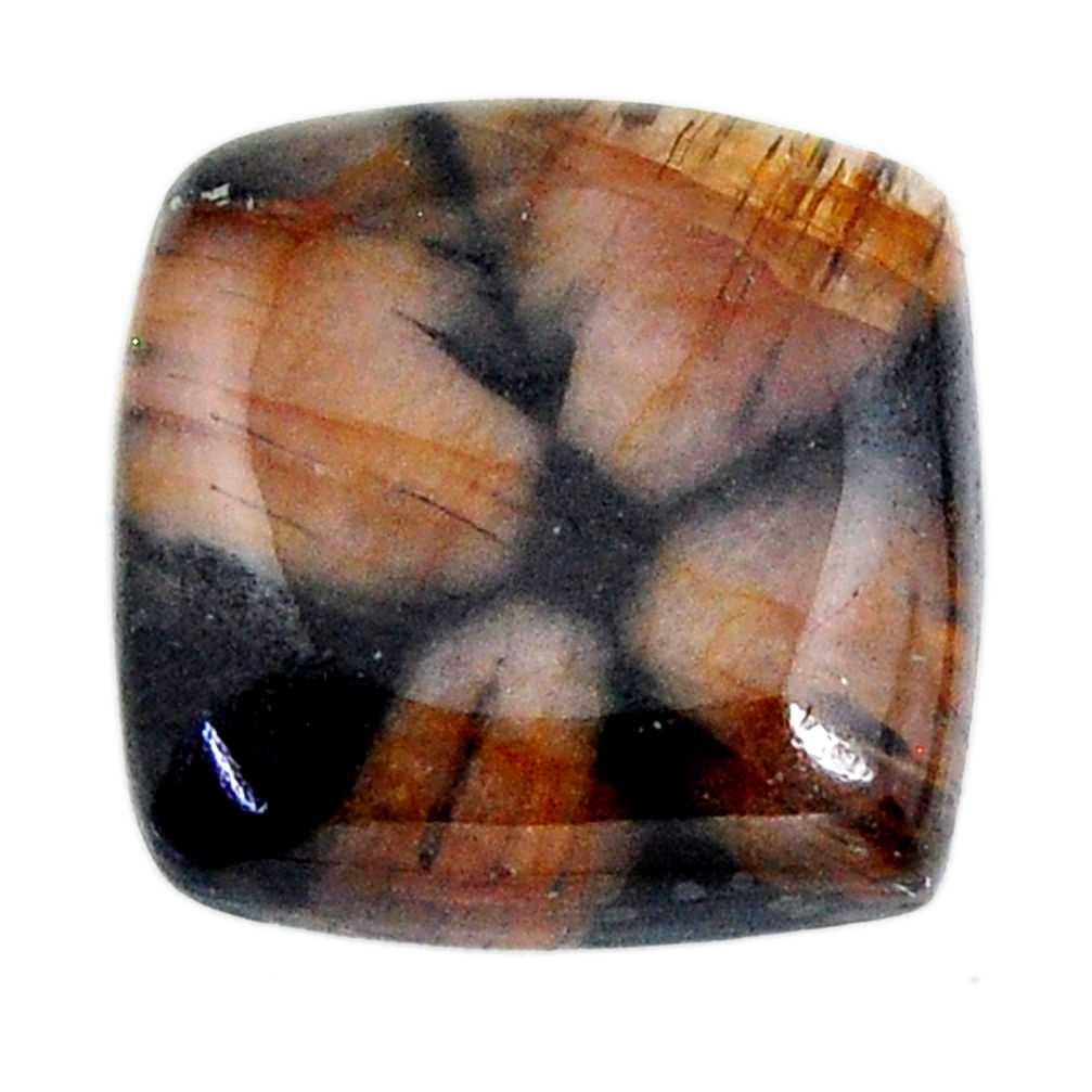 Natural 22.35cts chiastolite brown cabochon 18x18 mm loose gemstone s19264