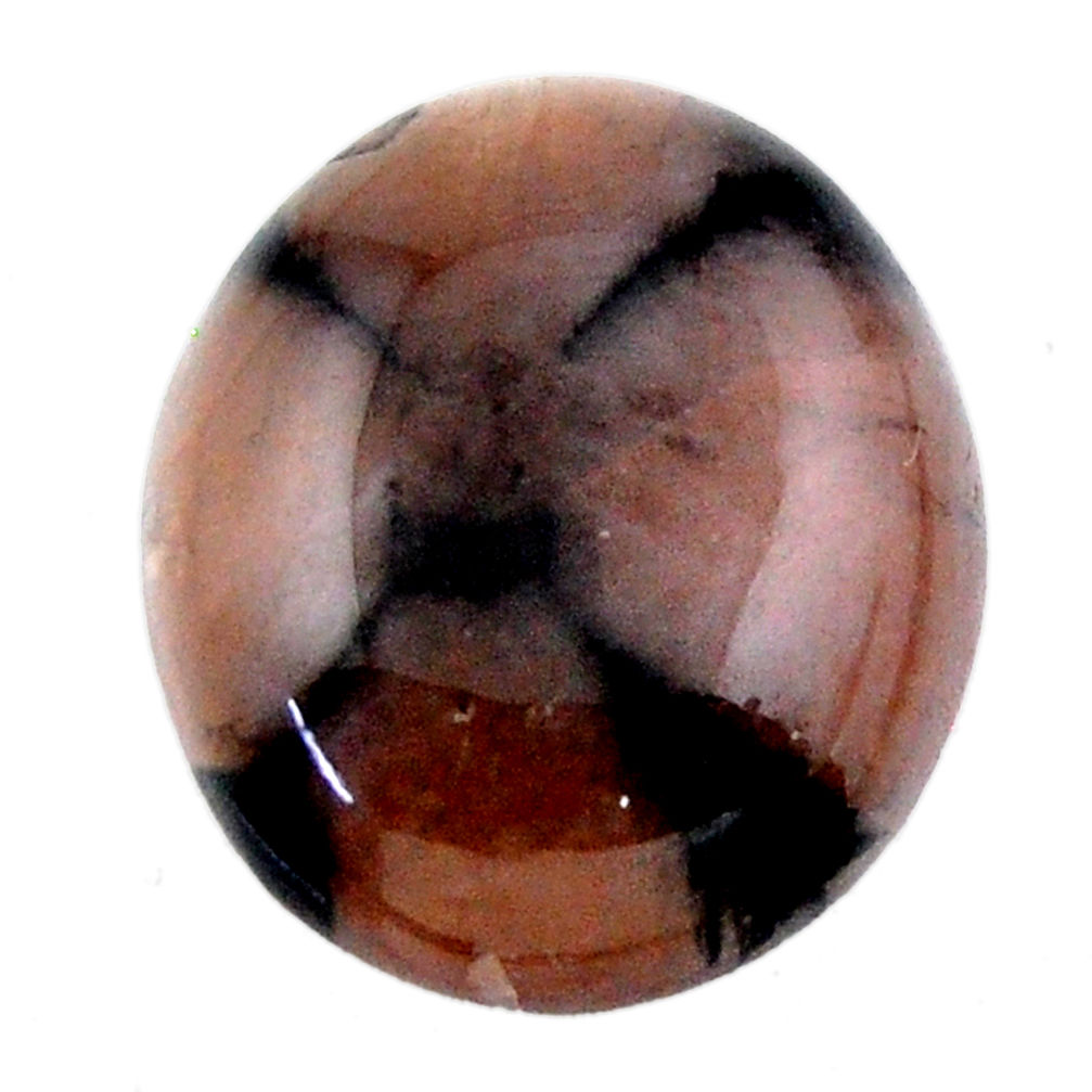 Natural 20.10cts chiastolite brown cabochon 20.5x18mm oval loose gemstone s19249