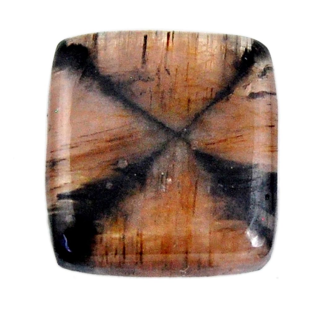 Natural 23.10cts chiastolite brown cabochon 20x18 mm loose gemstone s19268