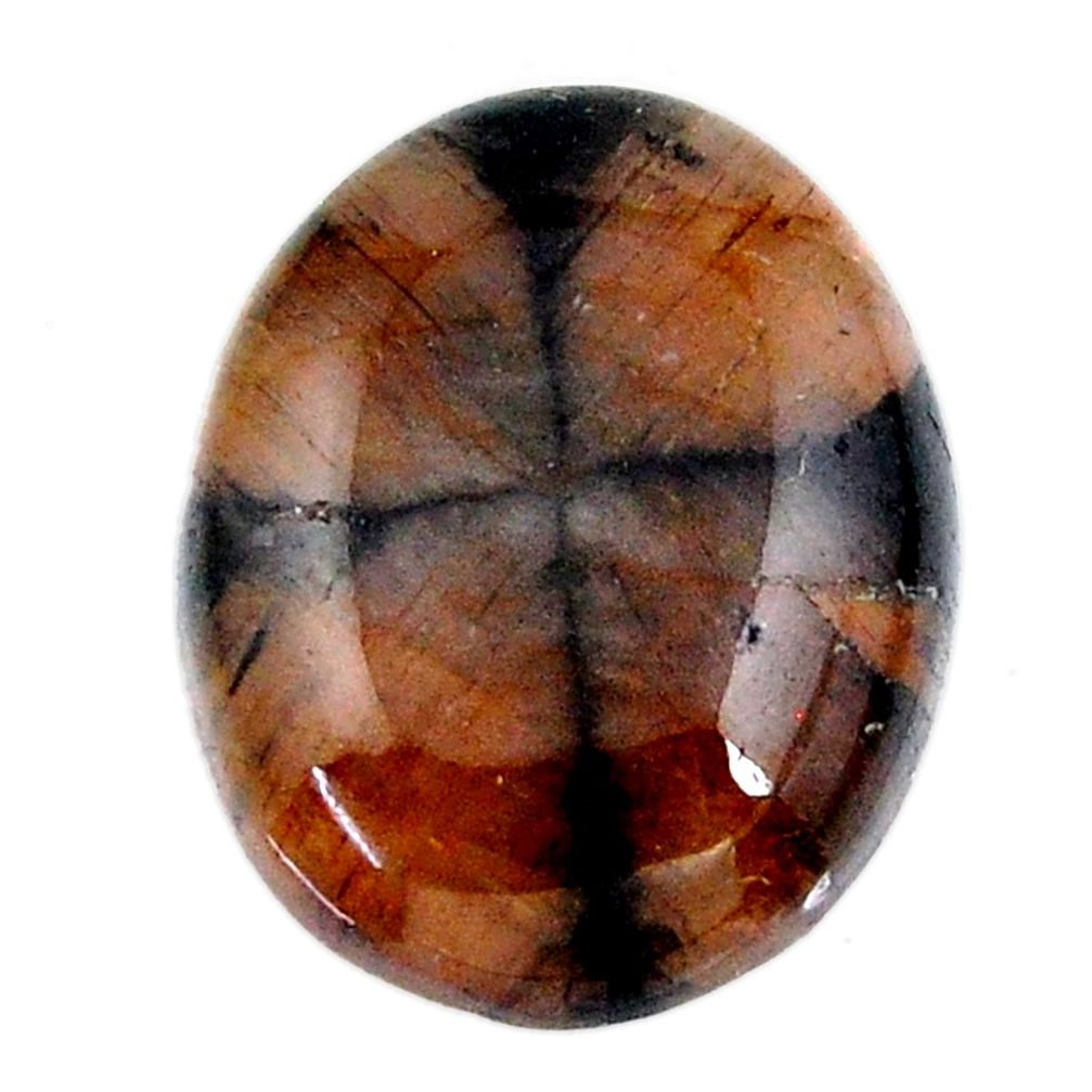 Natural 21.15cts chiastolite brown cabochon 21x17 mm oval loose gemstone s19266