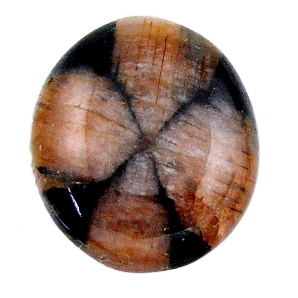 Natural 20.15cts chiastolite brown cabochon 21x18 mm oval loose gemstone s19257