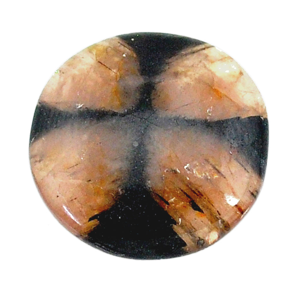 Natural 19.80cts chiastolite brown cabochon 21x21 mm round loose gemstone s22499